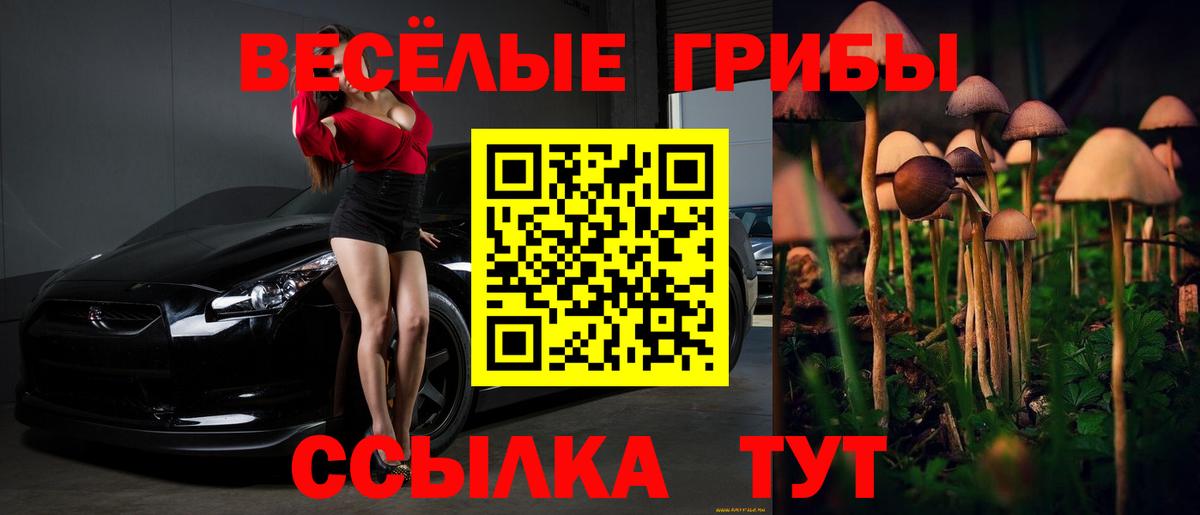 Орехово-Зуево  Псилоцибиновые грибы мухоморы  что такое   Вход с VPN  Псилоцибиновые грибы прущие грибы 